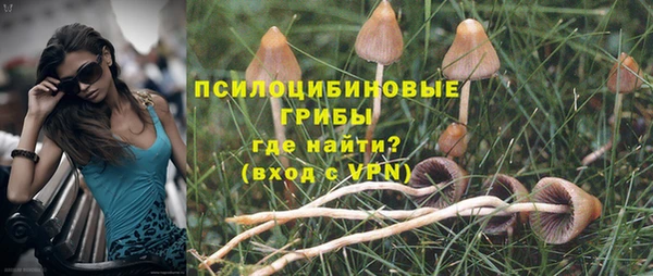 каннабис Абаза