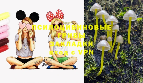 каннабис Абаза